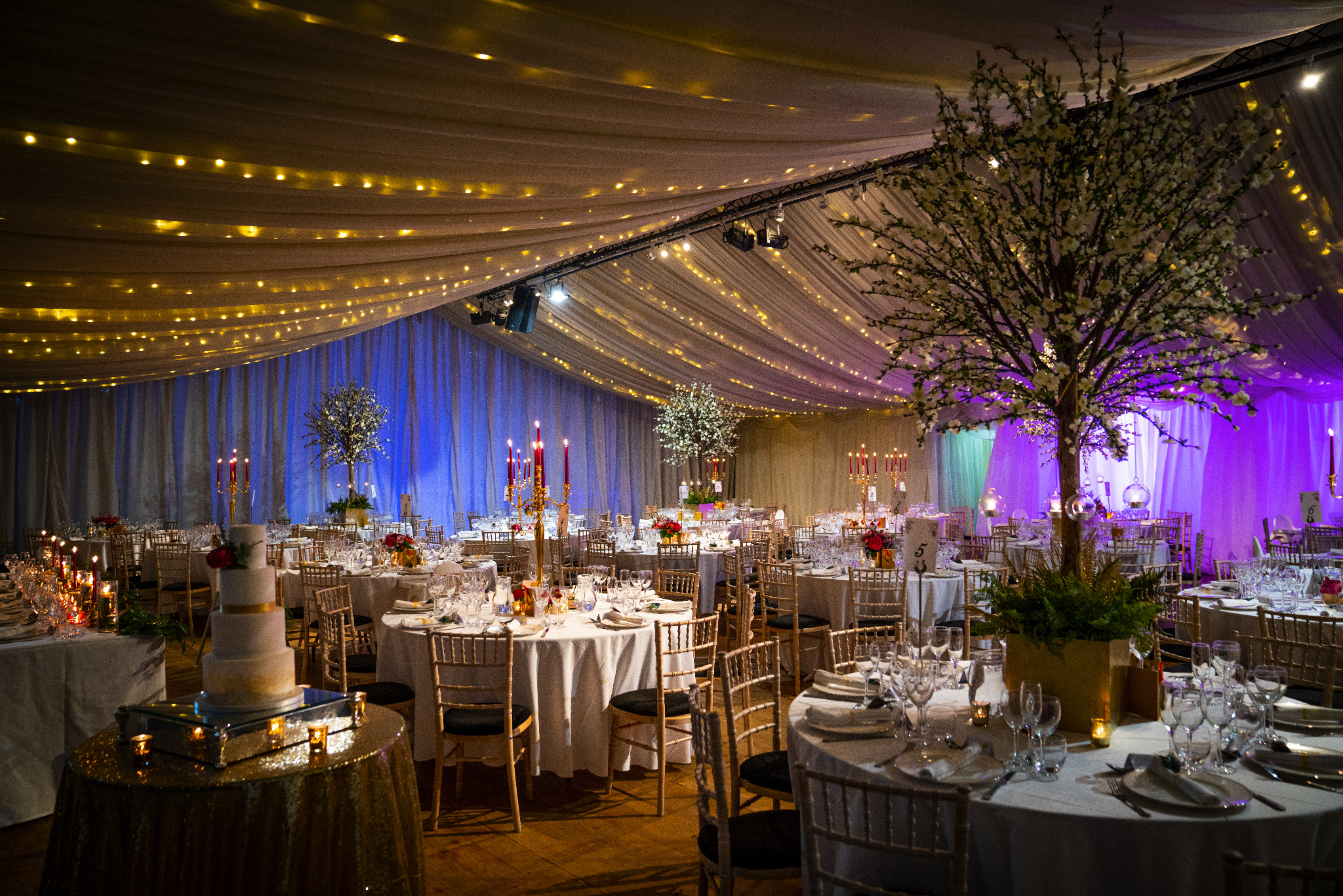 Marquee with festoon lights