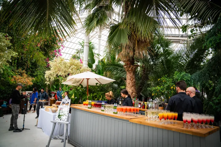 A drinks station beneath palms in a glasshouse