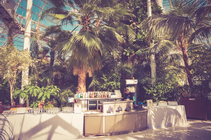 A reception bar beneath tropical foliage