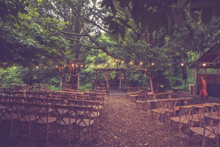 Woodland ceremony seating beneath leafy trees