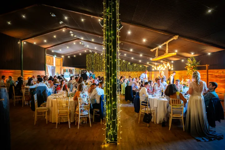Evening reception beneath warm festoon lights