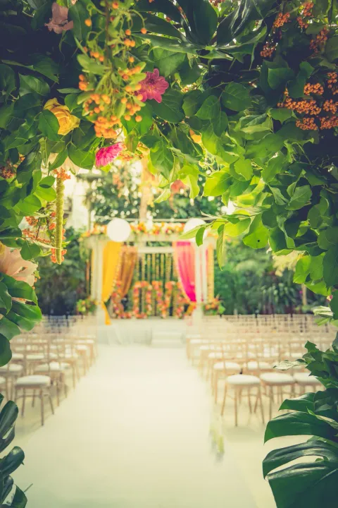 A white aisle through a lush glasshouse
